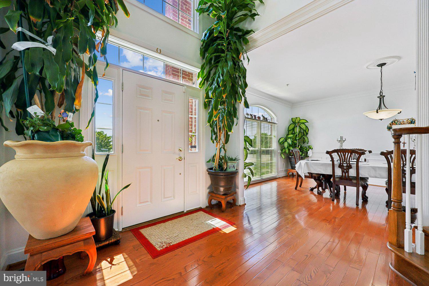 COUNTY VIEW - Residential