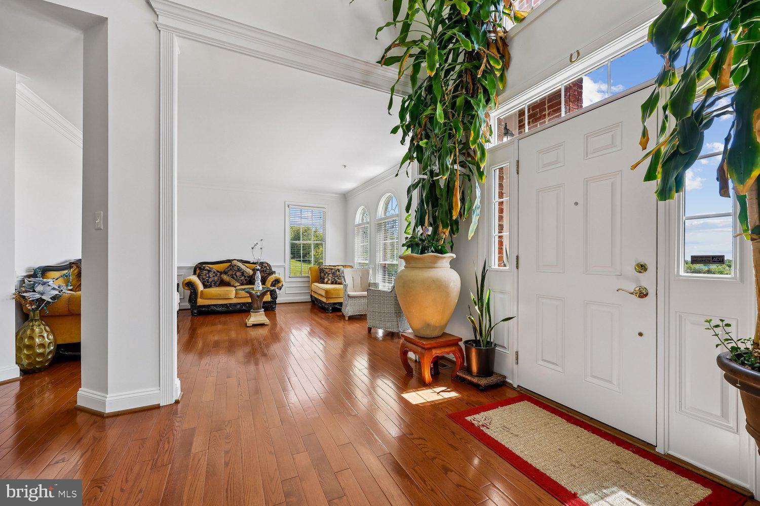COUNTY VIEW - Residential