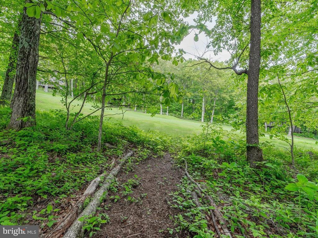 WINTERGREEN MOUNTAIN VILLAGE - Residential