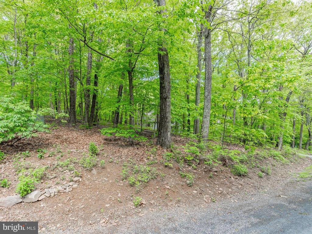 WINTERGREEN MOUNTAIN VILLAGE - Residential