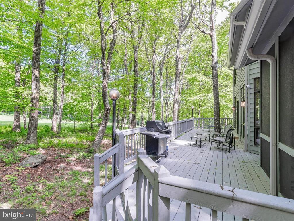 WINTERGREEN MOUNTAIN VILLAGE - Residential