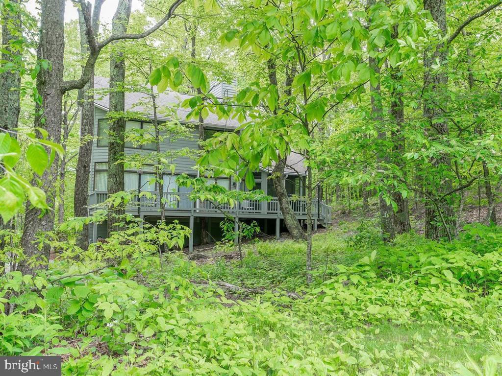 WINTERGREEN MOUNTAIN VILLAGE - Residential