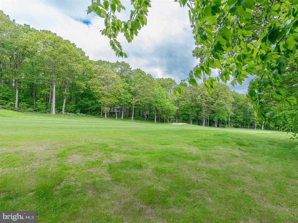 WINTERGREEN MOUNTAIN VILLAGE - Residential