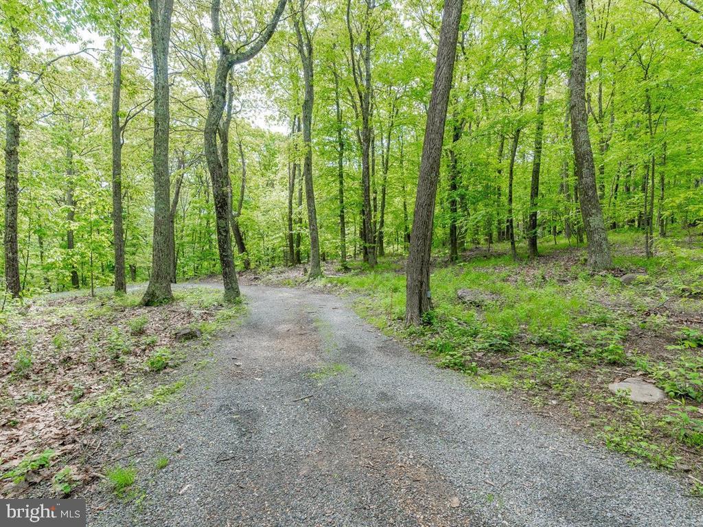 WINTERGREEN MOUNTAIN VILLAGE - Residential