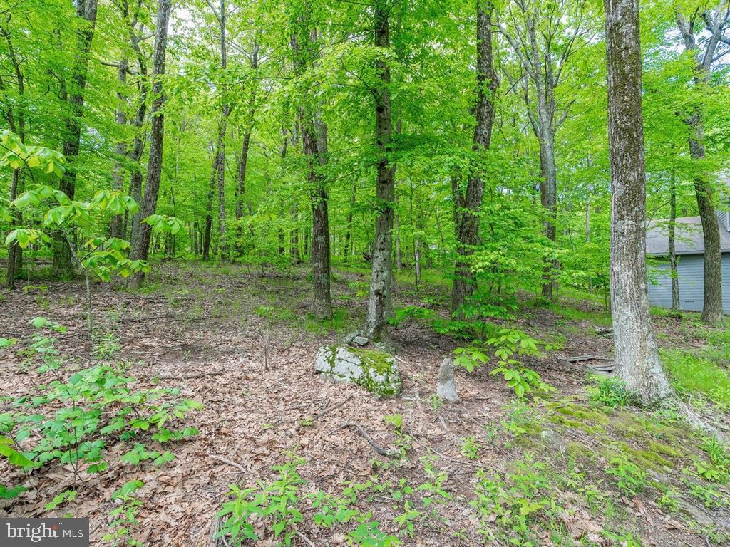WINTERGREEN MOUNTAIN VILLAGE - Residential