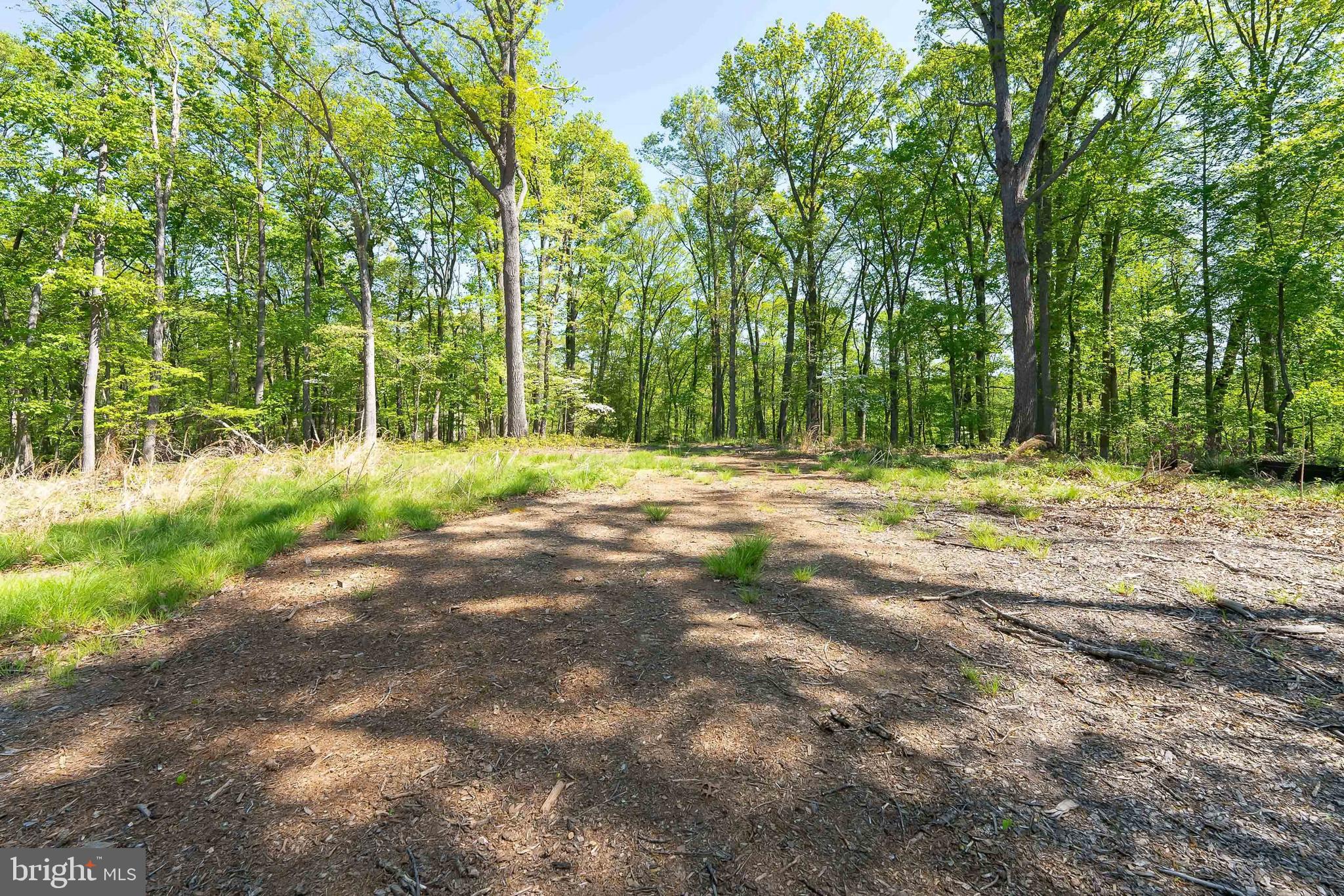 Looking for a statement property? This is it:   the largest parcel of land available in Great Falls and closest available to DC. This exclusive neighborhood deed restricts lot at a minimum of 5 acres, making this lot special. This beautiful 5.8 acre hilltop property in the Langley pyramid is ready for development. Picturesque multi-million dollar community with Great Falls Village, Safeway, CVS, Starbucks, etc, 1 mile away.  The seller decided to not move forward with the build in order to move closer to family.  The following has already been performed for this property: well installation ($15K), Land Disturbance Permit, homesite clearing and preparation ($200K), Septic System Design, Site Grading plan ($25K), Infiltration Test Report,  Water Well Completion Report, and Voluntary Maintenance Agreement. Manning Street is newly repaved. Please see attached documents. Fairfax County Arborist said the land is fertile and great for fruit cultivation. Proposed house plans available upon request, and listing agent is available to point out boundaries or other requests.
There is a MANNING STREET, SCHREINER LANE, AND ROOS TRAIL
VOLUNTARY MAINTENANCE AGREEMENT ($1,500 annually) that maintains the private road and bridge. Must see this fantastic premium lot!

Note:  Paved entrance to property is around the bend on Manning St where the For Sale sign directs. Once up the hill, there plenty of space to turn a car around on the property.
