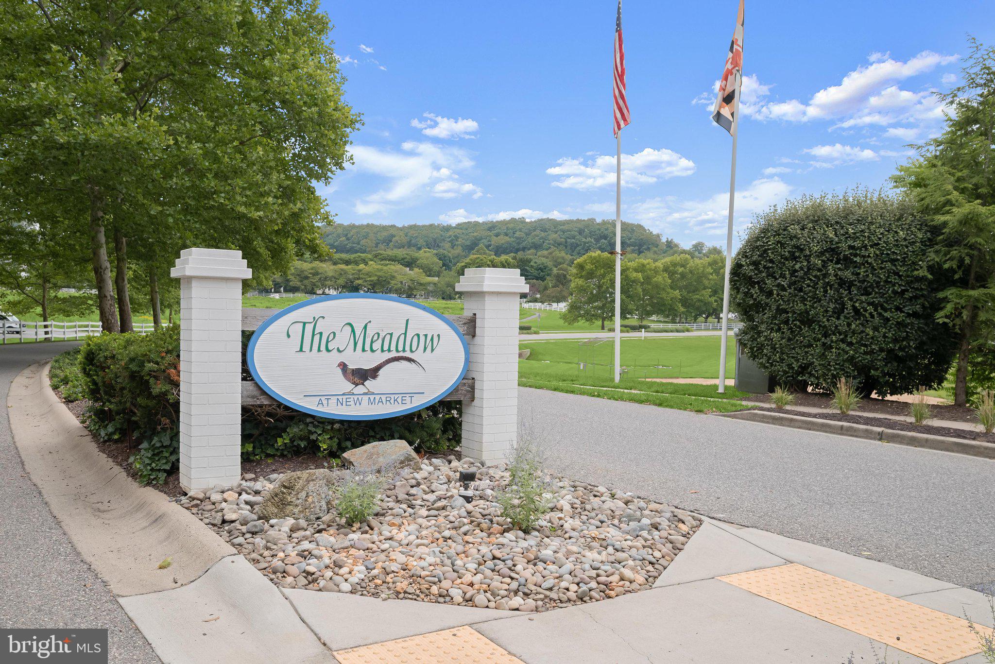 THE MEADOW AT NEW MARKET - Residential
