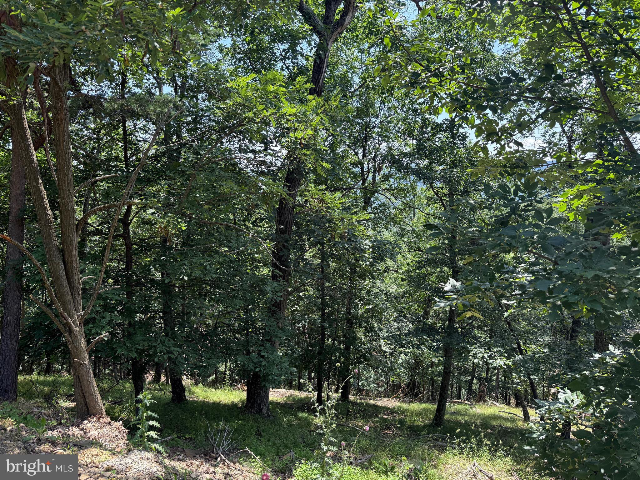 BLUFFS ON THE POTOMAC - Land