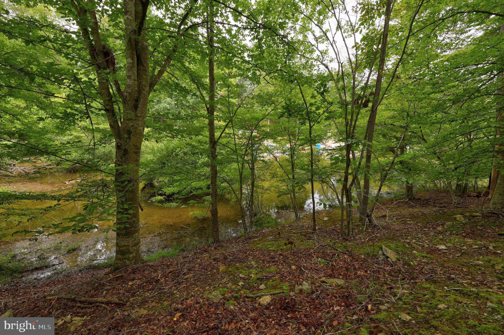LAKE MONTICELLO - Land