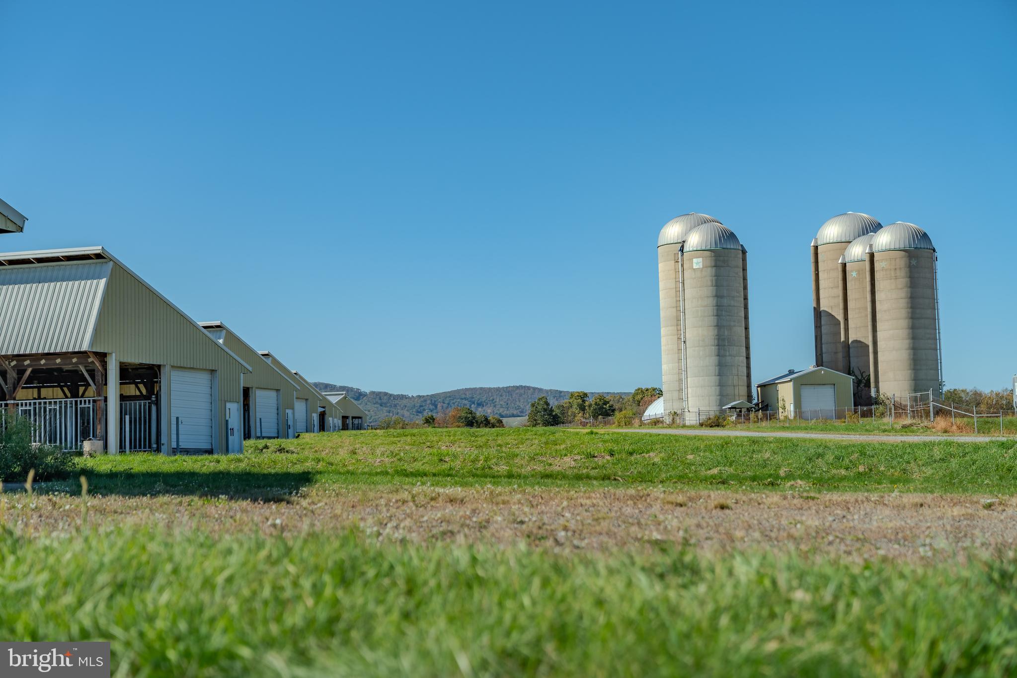 NONE AVAILABLE - Farm