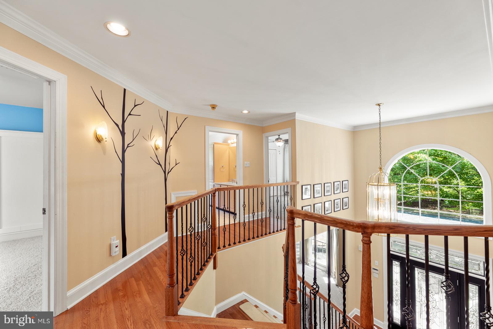 WEDGEWOOD GREENE - Residential