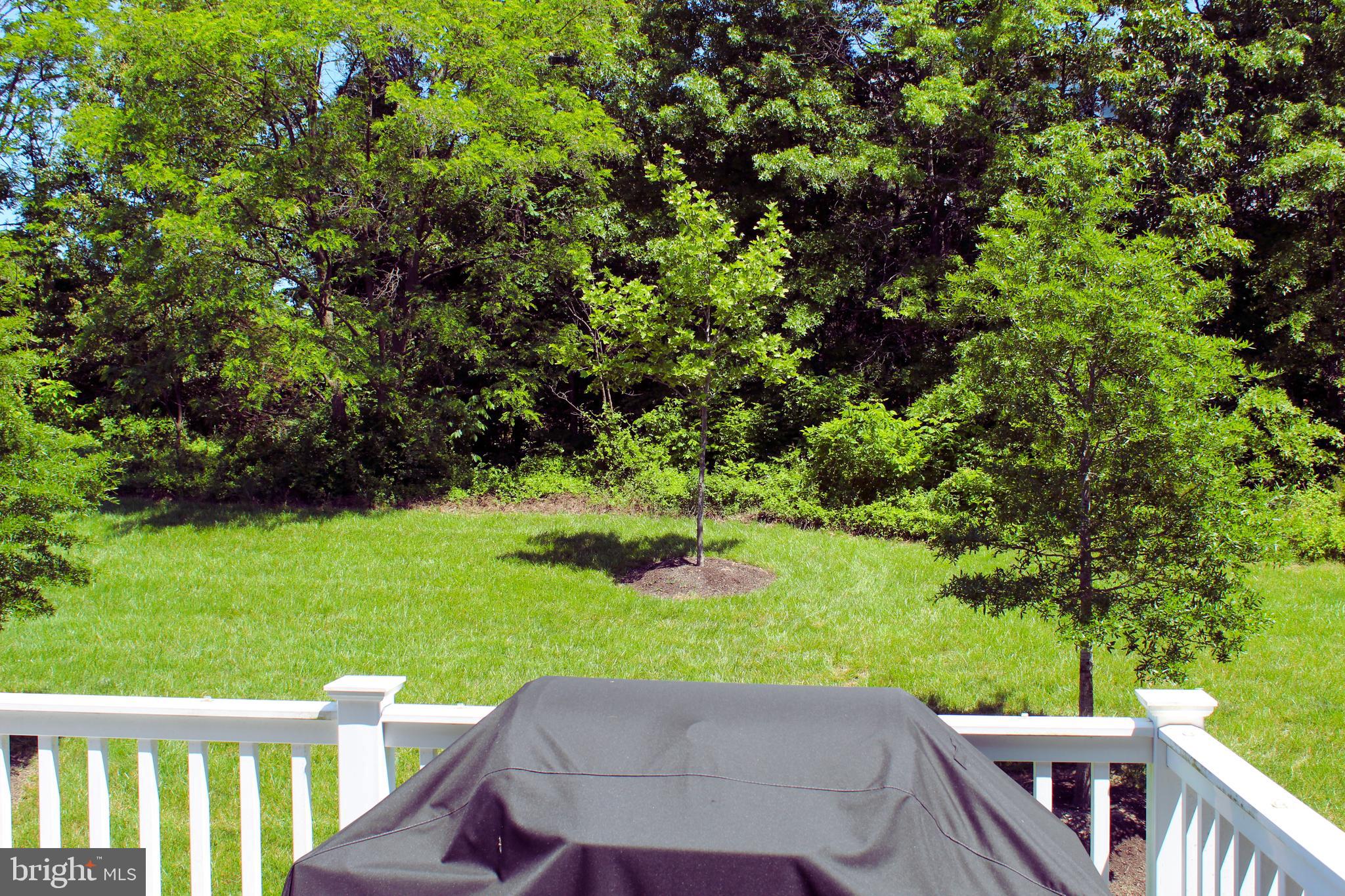BELMONT RUN - Residential Lease