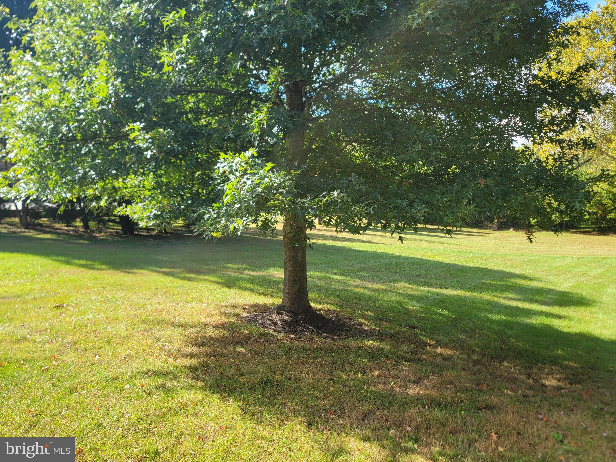 ROBEYS MEADOW - Residential Lease