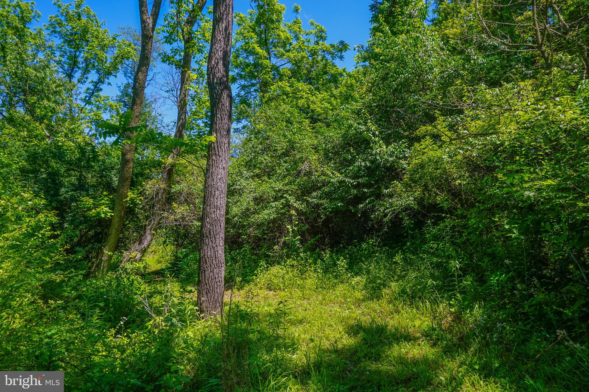 NORTH CODORUS TWP - Residential