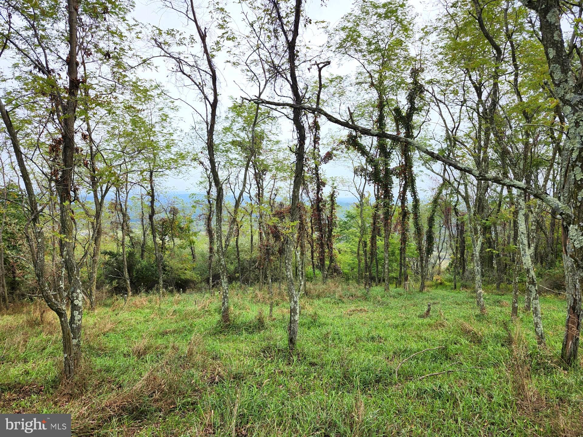 YOU TALK ABOUT A PROPERTY THAT HAS ALOT TO OFFER! THIS 6.3 ACRE LOT IN LOST MOUNTAIN S/D HAS SOME OF THE MOST MAGNIFICENT BREATHTAKING VIEWS YOU WILL EVER FIND. PROPERTY IS BORDERED ON 3 SIDES BY DIFFERENT DEVELOPMENT ROADS WHICH ALLOWS YOU EASY ACCESS TO ANY AND ALL PARTS OF THE PROPERTY.  THE PROPERTY HAS A REALLY NICE SPRING ON THE PROPERTY AND IT HAS BEEN HEARD THAT THERE ARE OTHER SPRINGS ON THE PROPERTY AS WELL. THERE IS A VERY LEVEL BUILD SITE SITTING ATOP THE MOUNTAIN WHICH PROVIDES AN UNBELIEVABLE VIEW, THIS AREA HAS BEEN PARTIALLY CLEARED AND IF YOU TAKE DOWN JUST A FEW SMALL TREES YOU WILL HAVE ONE OF THE BEST VIEWS IN THIS COUNTY! THE PROPERTY HAS BEEN FRESHLY SURVEYED, IT HAS BEEN PERCED,  AND A BUILDING SITE PLAN HAS BEEN DONE BY AN ENGINEER, THE SITE PLAN IS INCLUDED IN THE LISTING. IF YOU ARE LOOKING FOR PRIVACY AND PEACE AND QUIET, THEN YOU HAVE FOUND THE RIGHT PROPERTY, THERE IS AN ABSOLUTE ABUNDANCE OF DEER AND TURKEY ON THIS PROPERTY, AND THERE IS ACCESS TO NATHANIEL MOUNTAIN  PUBLIC HUNTING WITHIN THE LOST MOUNTAIN DEVELOPMENT. ALL OF THE GROUNDWORK HAS BEEN DONE, PUT YOUR PLAN INTO MOTION, THIS PROPERTY IS WAITING FOR SOMEONE TO PUT THEIR DREAM HOME OR WEEKEND CABIN ON IT!!!!! PRICED TO SELL!