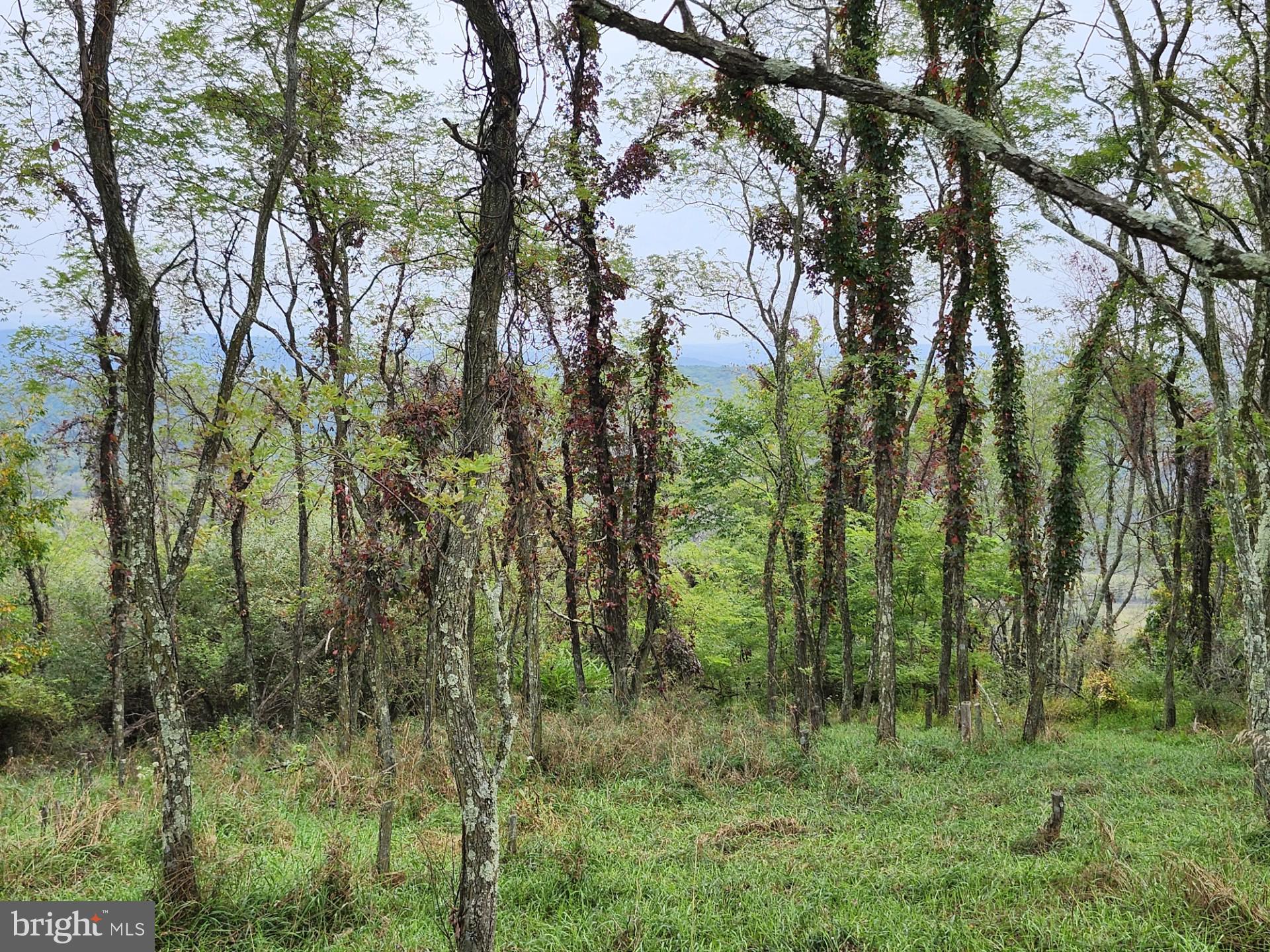 LOST MOUNTAIN - Land