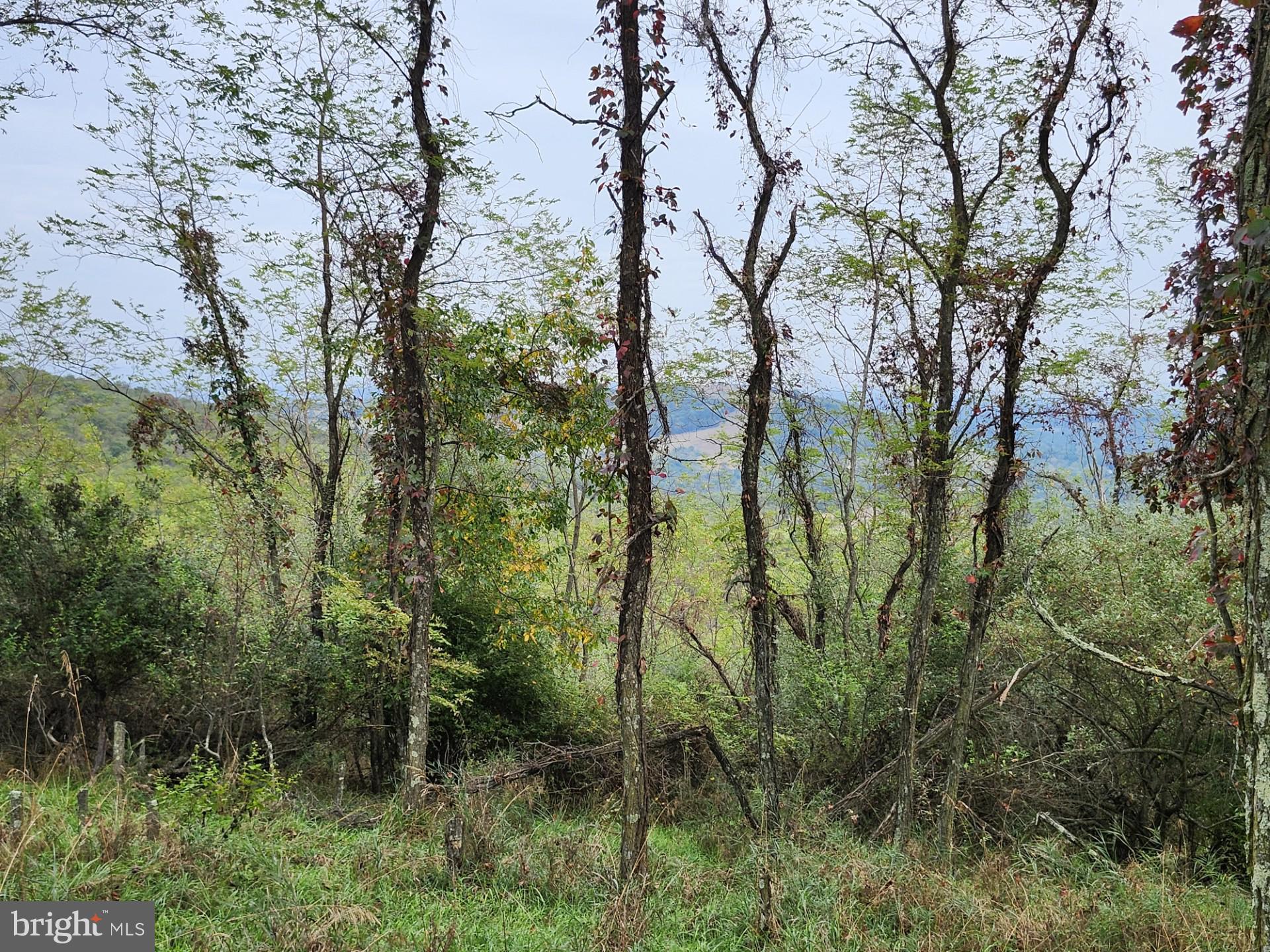 LOST MOUNTAIN - Land