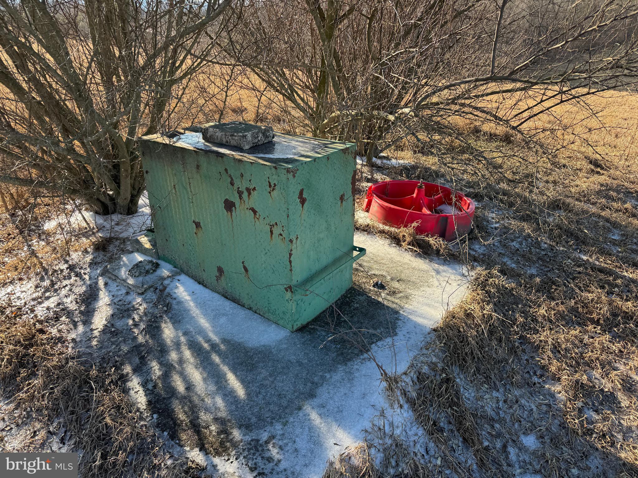 NONE - Farm