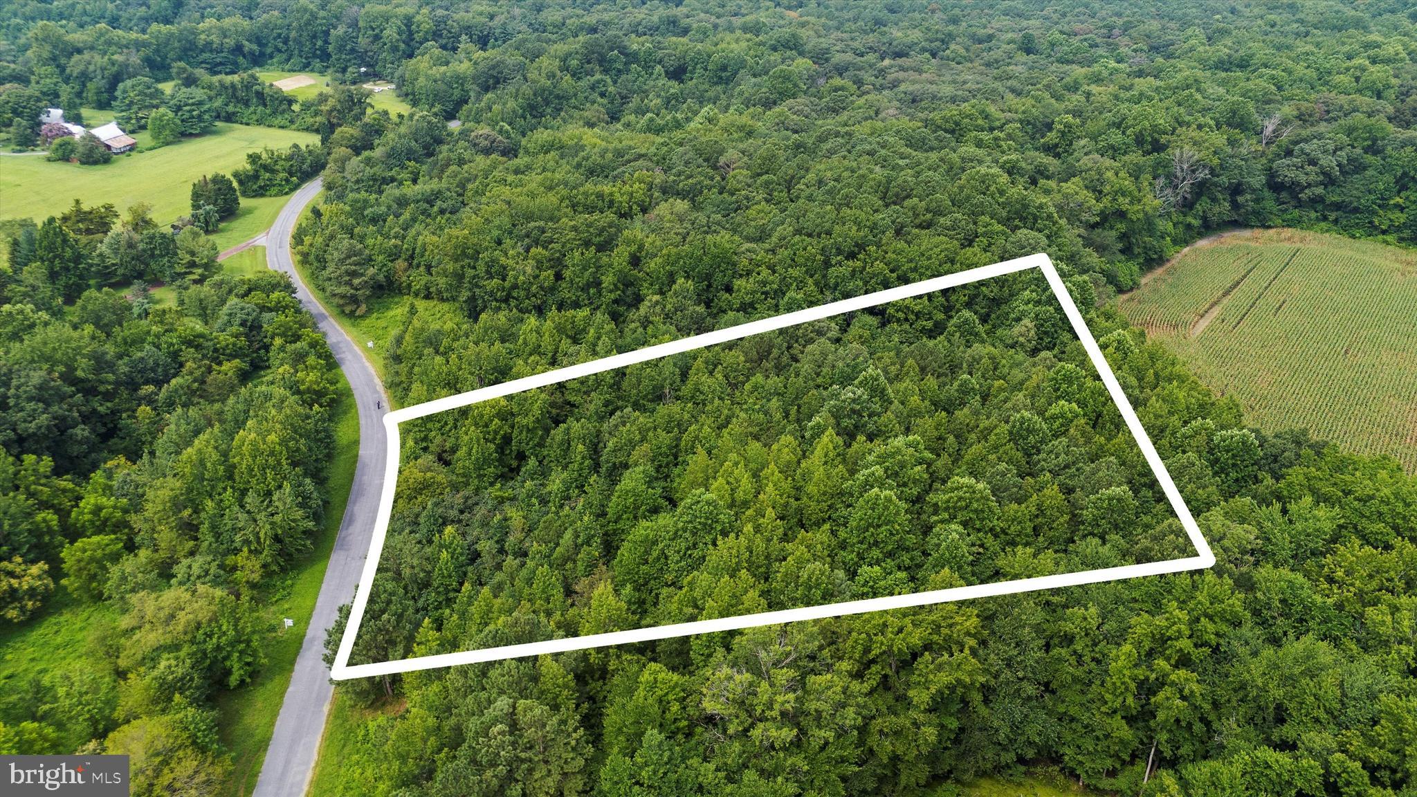 Welcome to the Oasis neighborhood, a serene and picturesque enclave nestled in the charming town of Ridgely, MD. This prestigious 3.3-acre wooded lot on Burnt Mill Road presents a unique opportunity to craft your dream home amidst nature's splendor. With its perc approval, this lot is primed and ready for you to bring your architectural vision to life.

As you enter the Oasis, you're greeted by a striking grand entrance and a paved road that sets the tone for this distinguished community. Here, you have the freedom to design a private retreat that is perfectly tailored to your lifestyle, with no builder tie-in restrictions to limit your creativity. While the Oasis offers the freedom of no governing HOA, it does have Covenants and Restrictions to maintain the community's integrity.

Just minutes from Rt. 404 and the vibrant town of Denton, this location offers both tranquility and convenience. Discover the perfect blend of nature and accessibility, and make your dream home a reality in this smartly positioned and thoughtfully planned neighborhood.

Property lines estimated in photos