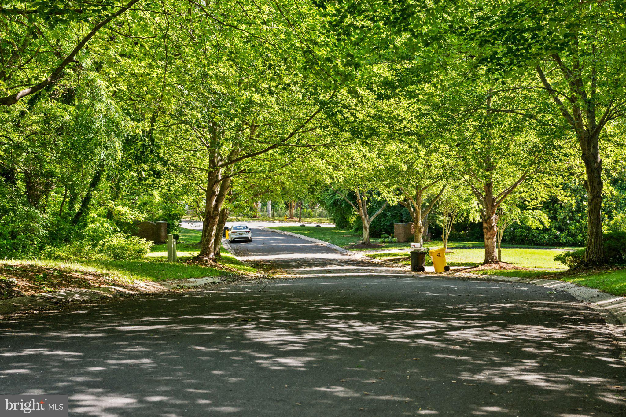THE MEADOWS - Residential