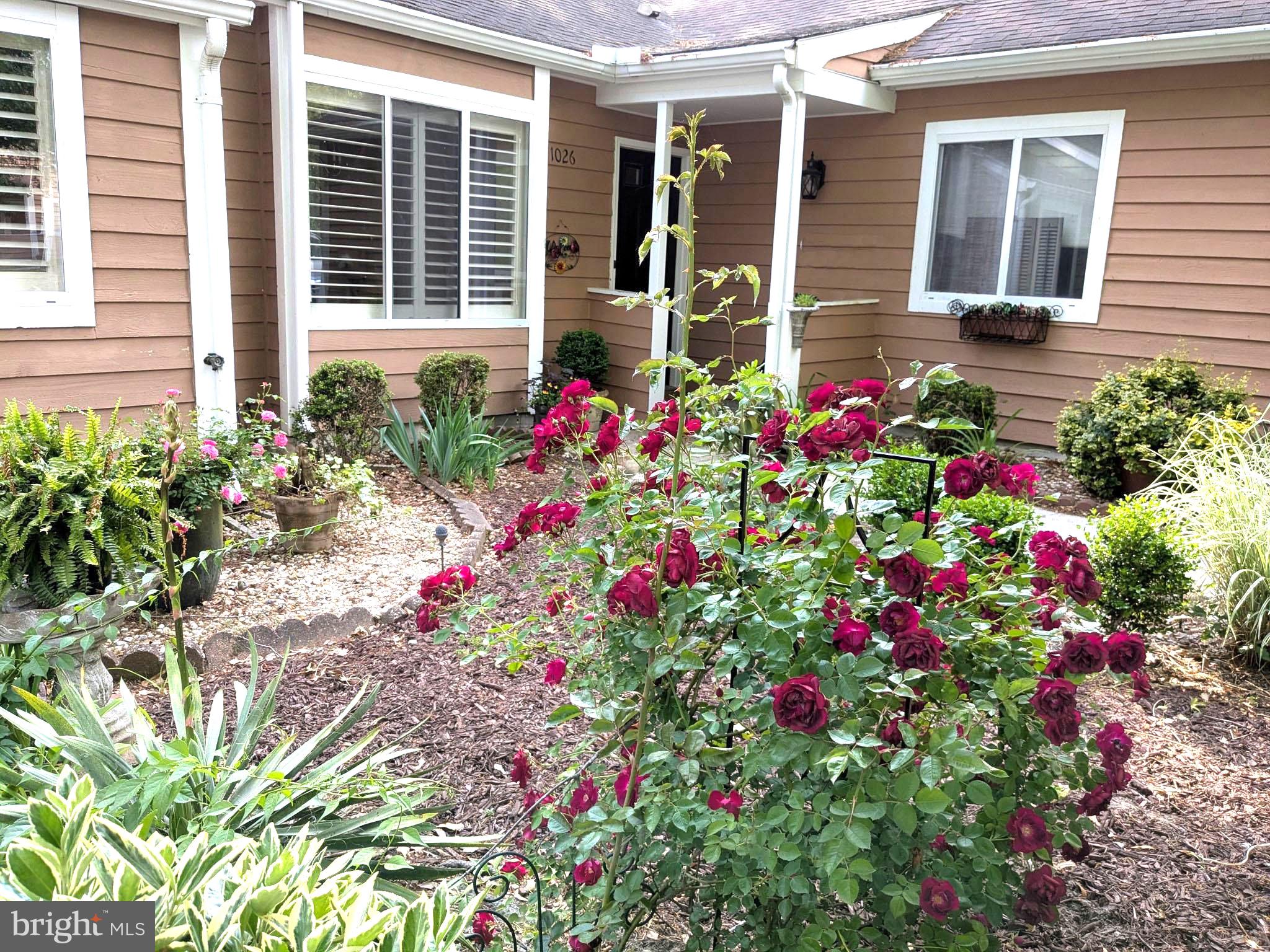 SPRING CHASE - Residential