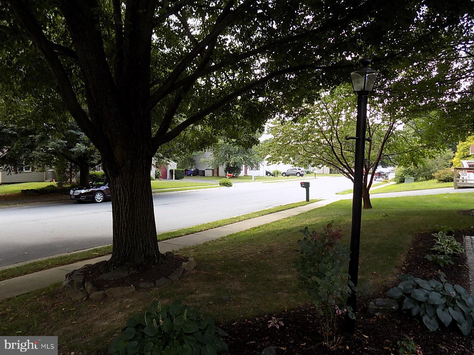 NICHOLSON SQUARE - Residential