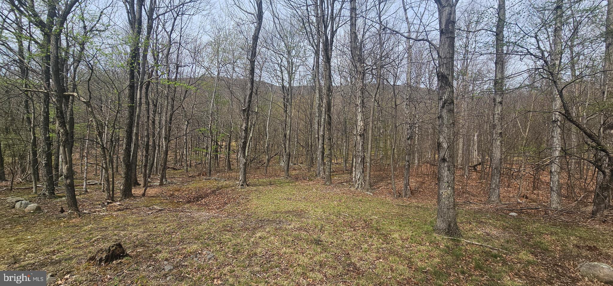 RETREAT AT DOLLY SODS - Land