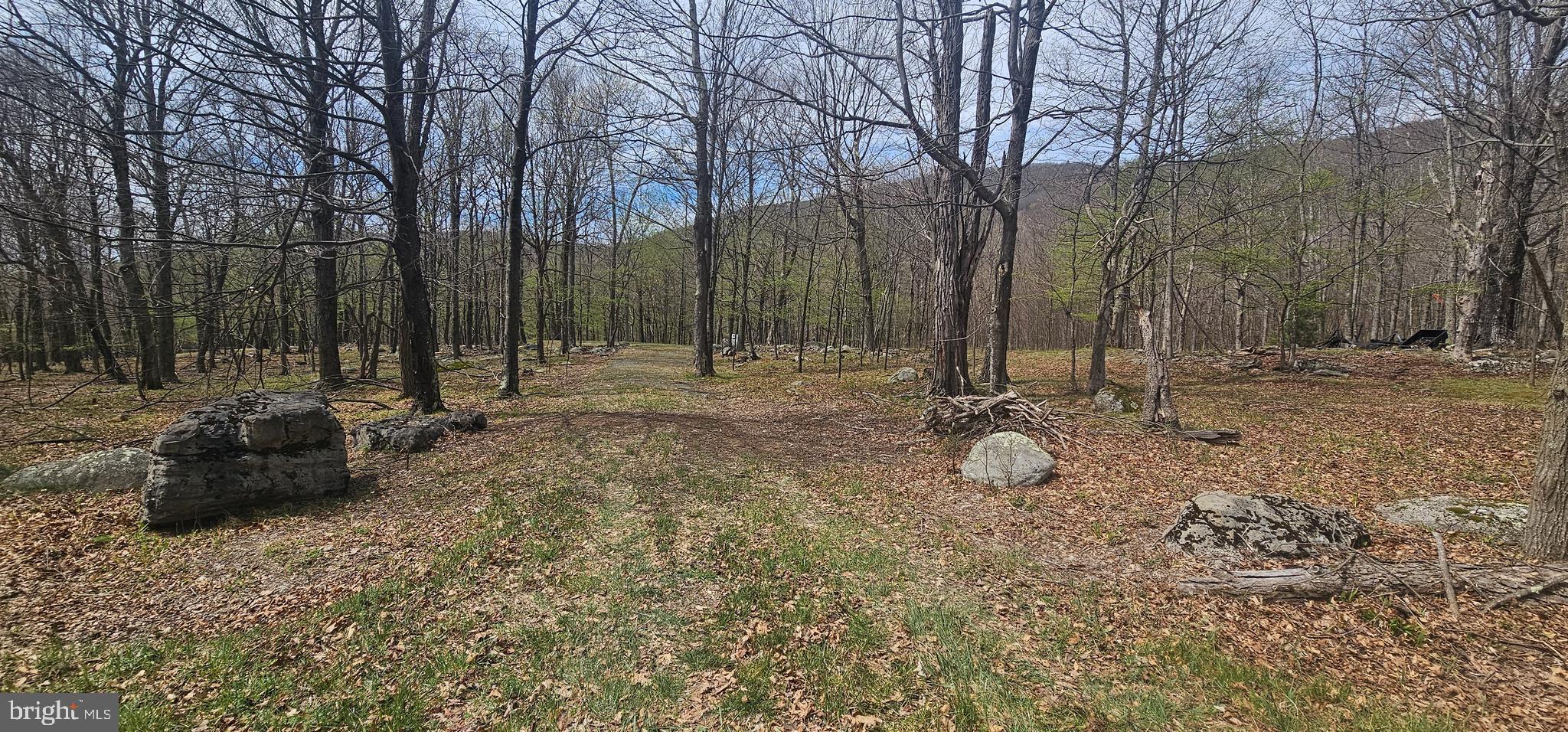RETREAT AT DOLLY SODS - Land