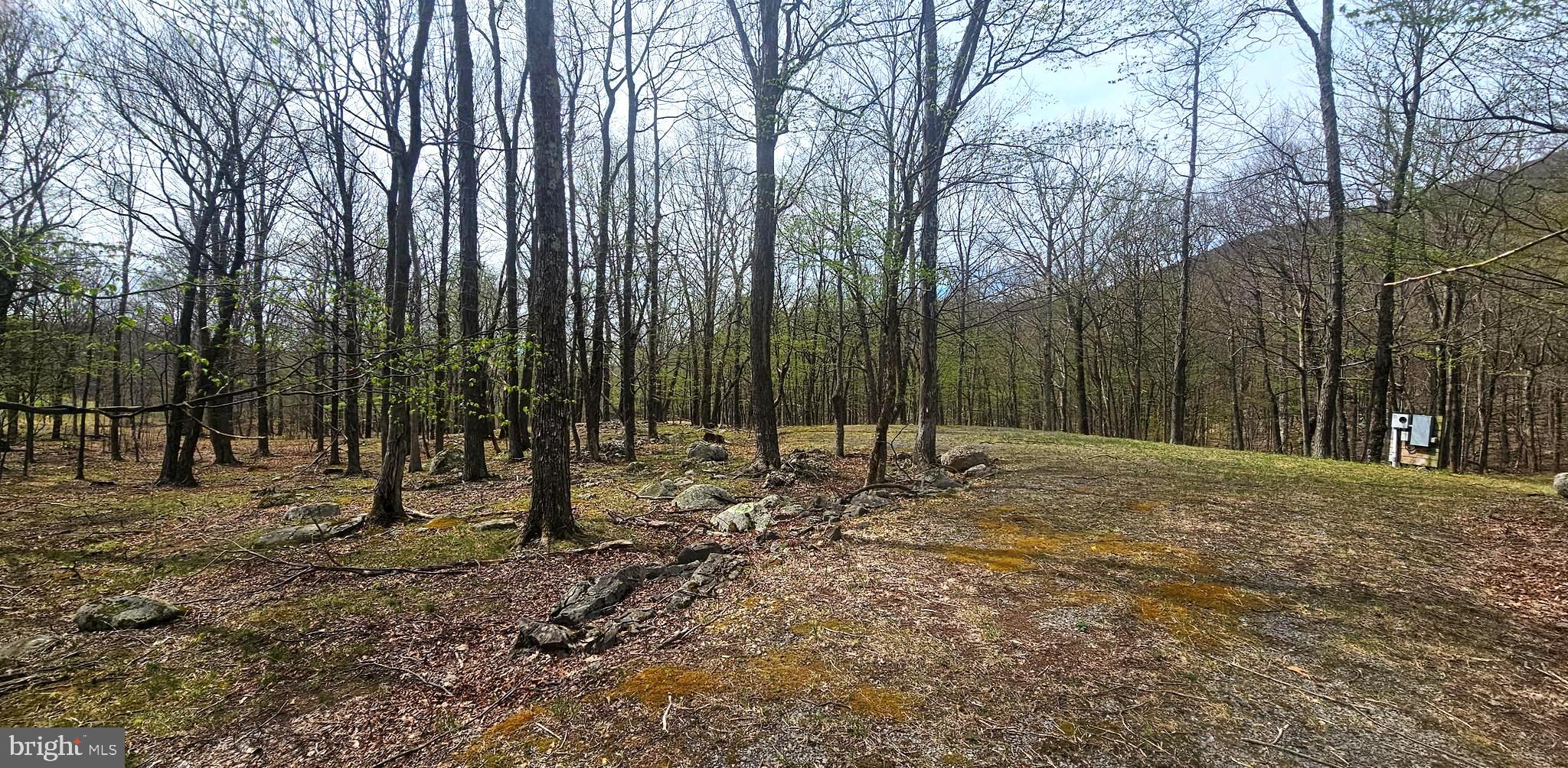 RETREAT AT DOLLY SODS - Land
