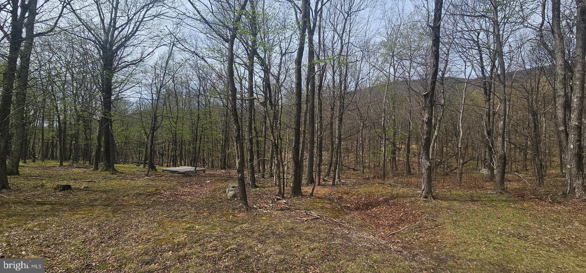 RETREAT AT DOLLY SODS - Land