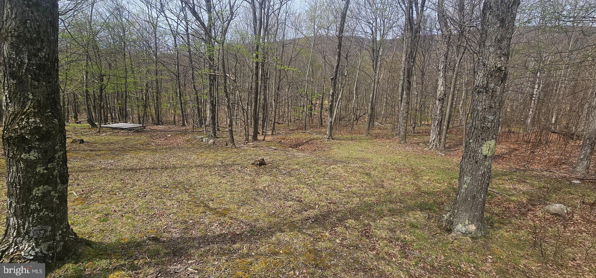 RETREAT AT DOLLY SODS - Land
