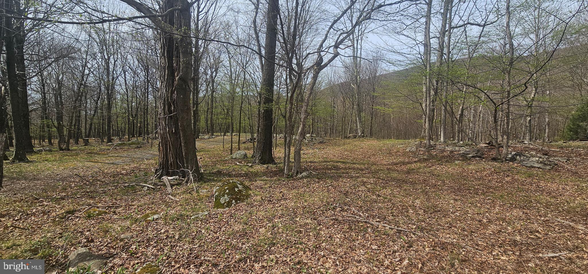RETREAT AT DOLLY SODS - Land