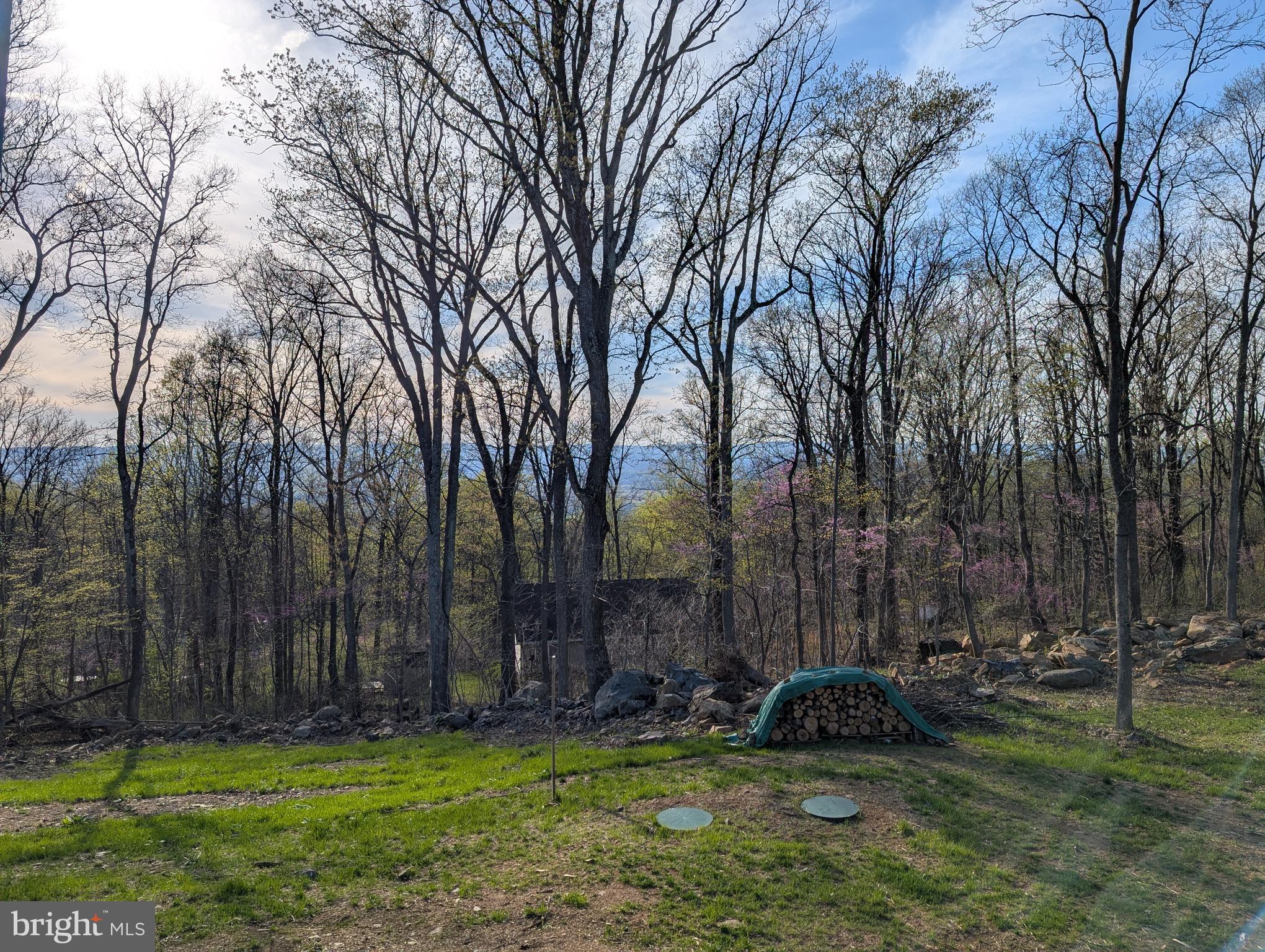 SHEN FARMS MT VIEW - Residential