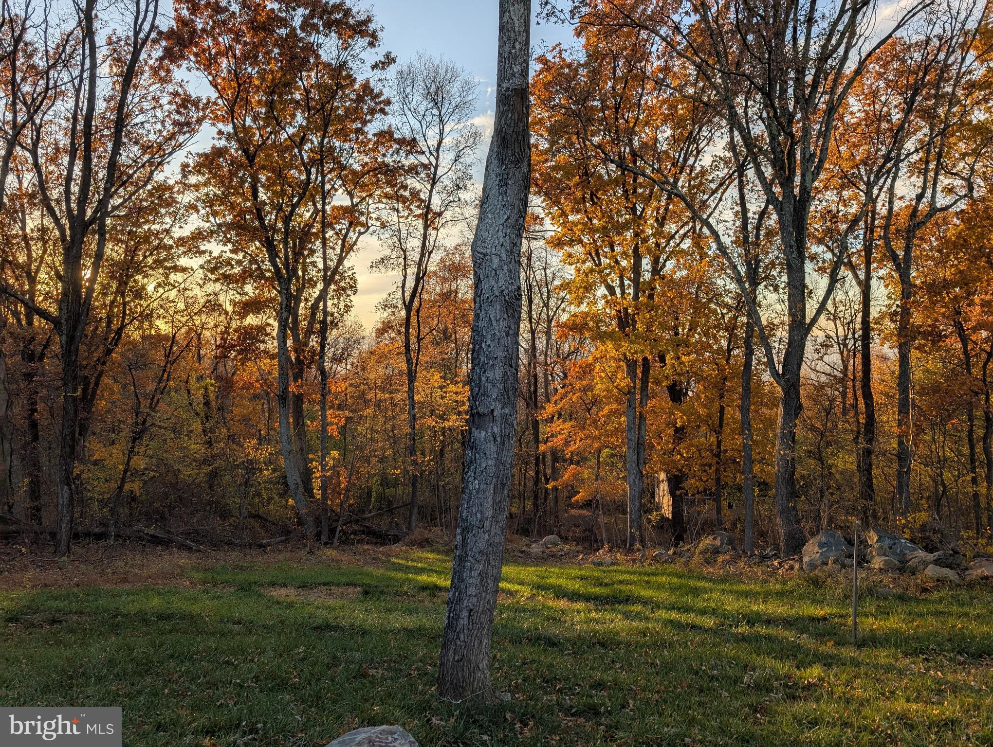 SHEN FARMS MT VIEW - Residential