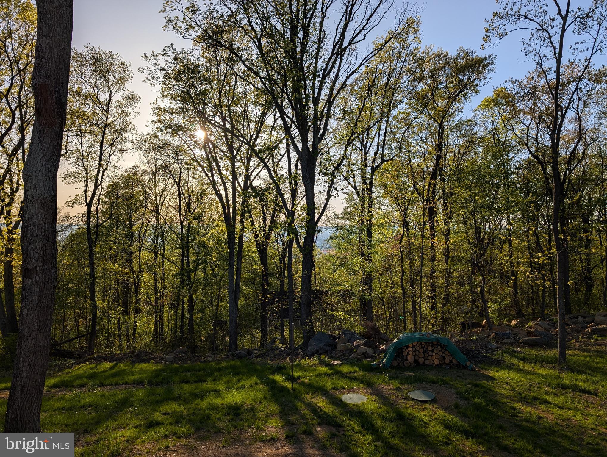 SHEN FARMS MT VIEW - Residential