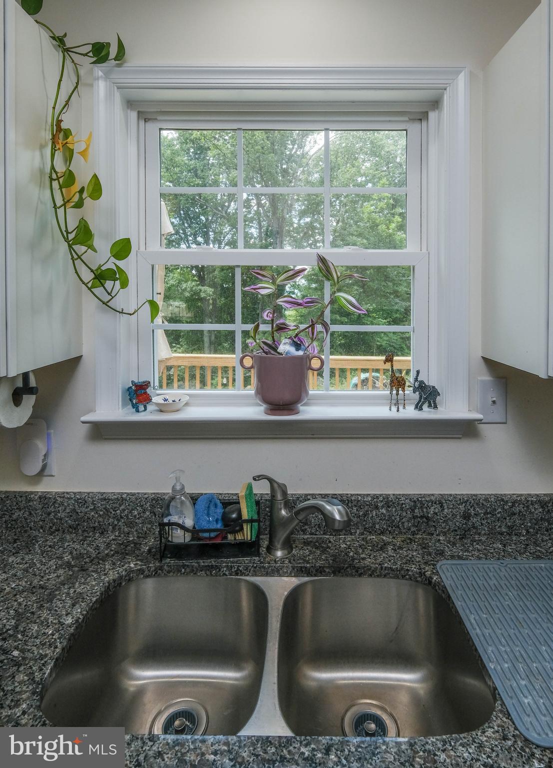 SHEN FARMS MT VIEW - Residential