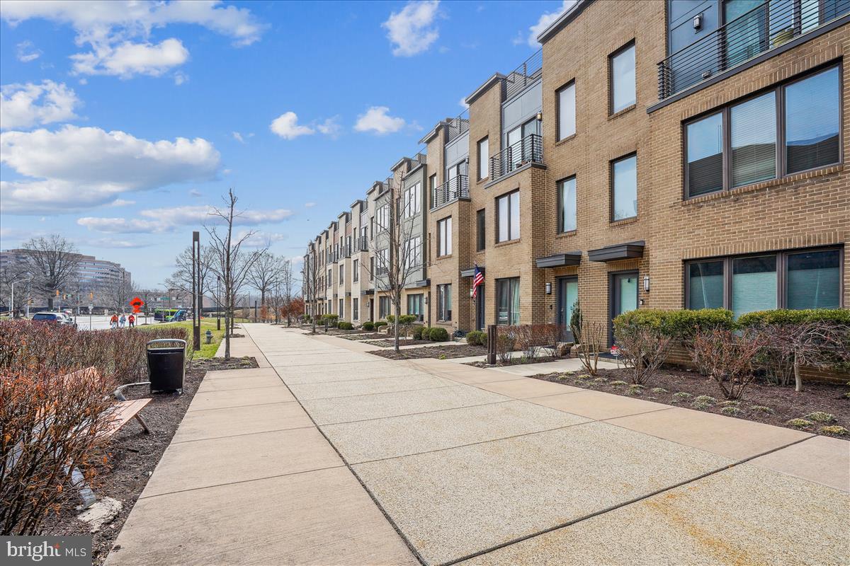 MONTGOMERY ROW - Residential