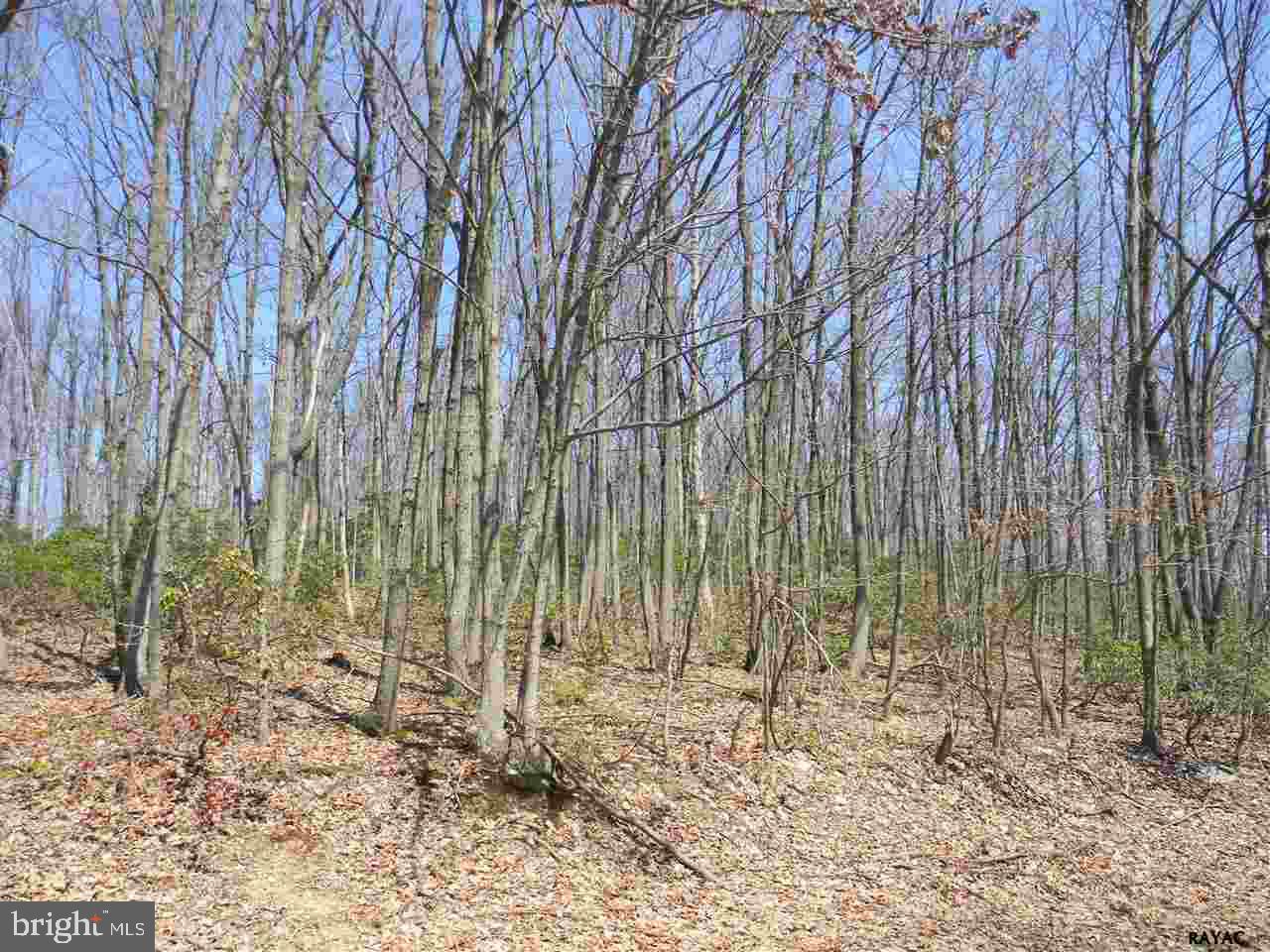 NONE AVAILABLE - Land