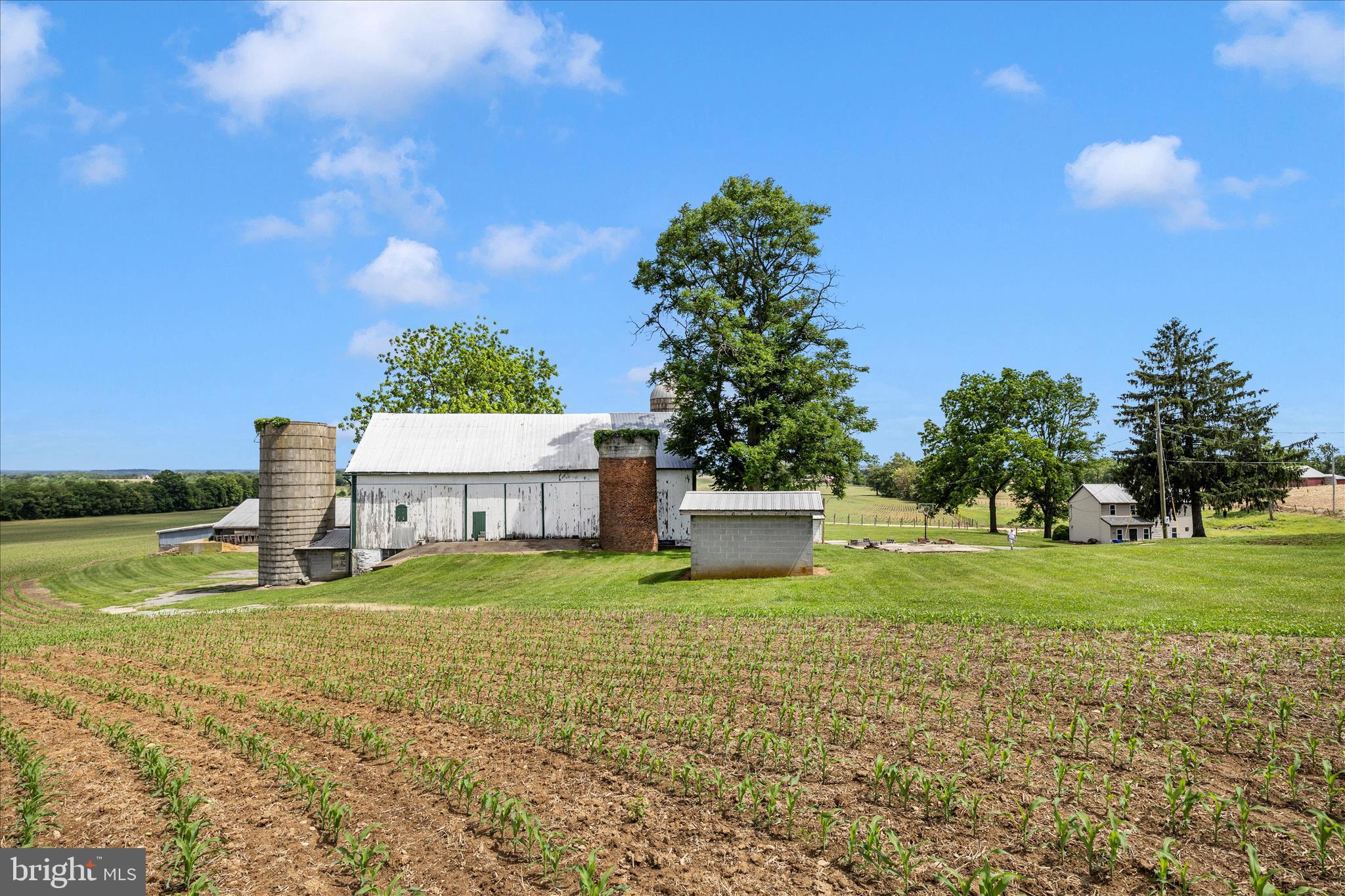 NONE AVAILABLE - Farm