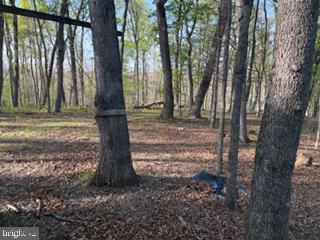 SILER HEIGHTS - Land