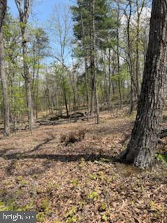 SILER HEIGHTS - Land