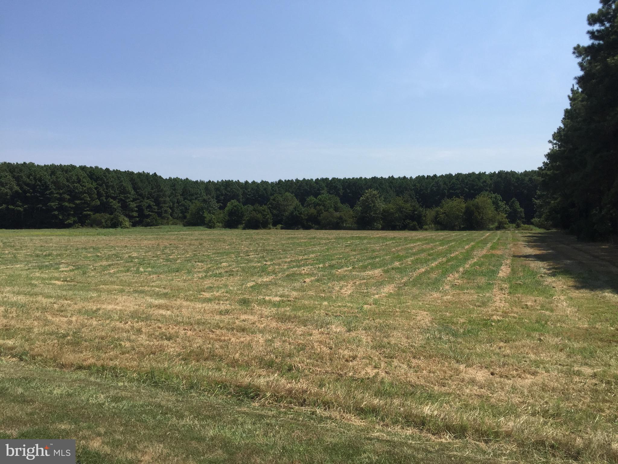 FERRY FARMS ESTATES - Land
