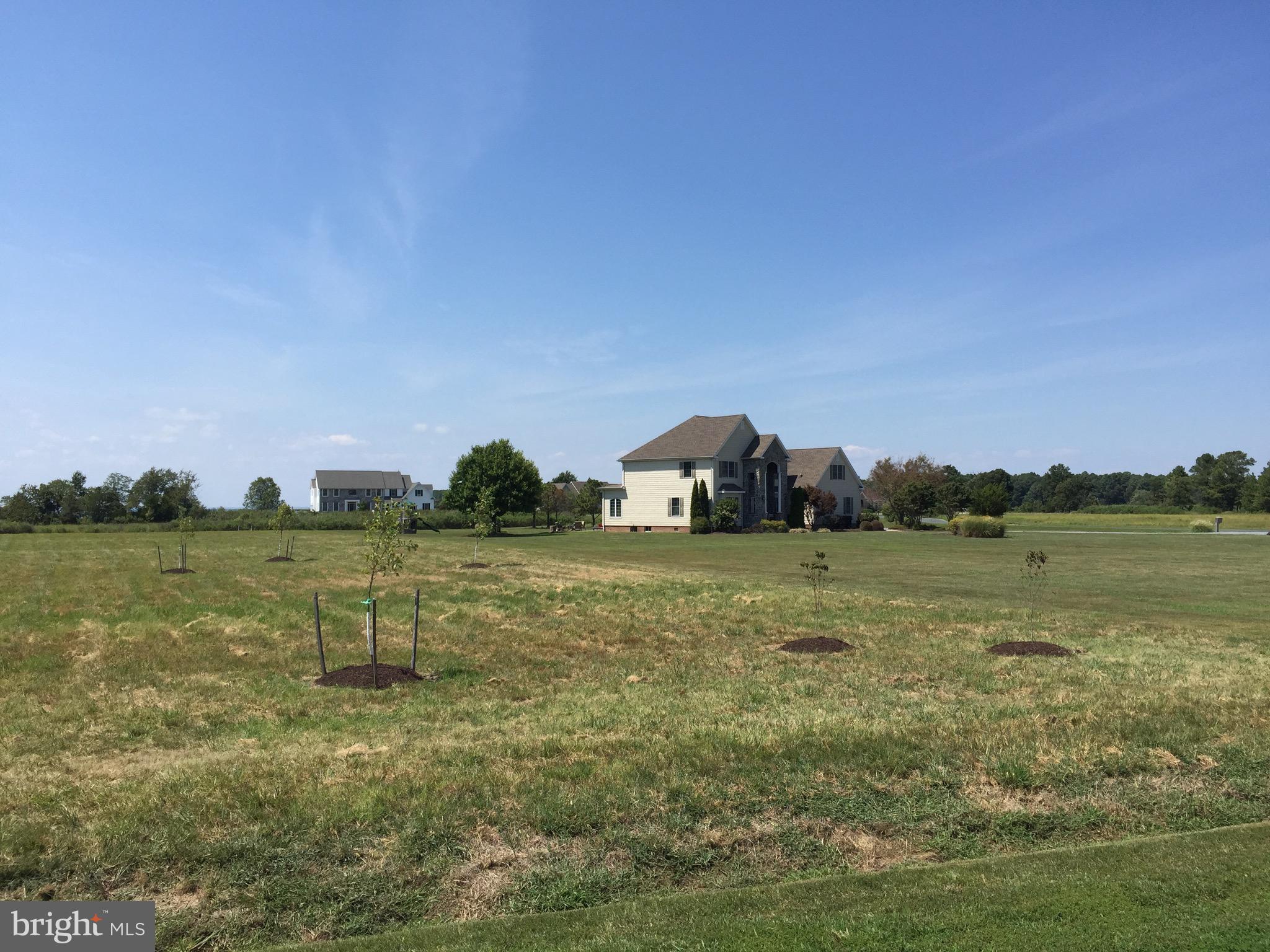 FERRY FARMS ESTATES - Land