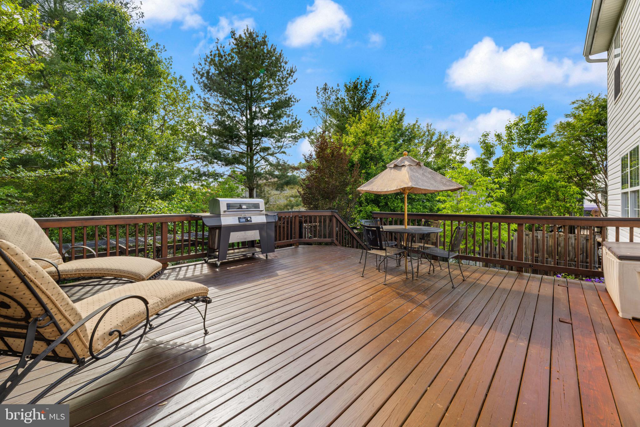 MEADOWS OF CULPEPER - Residential