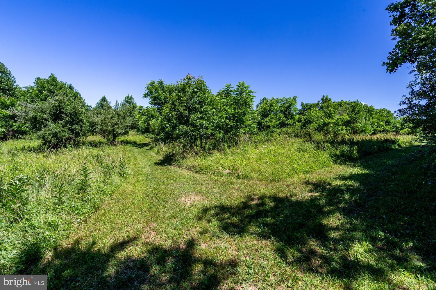 CAROLINES CROSSING - Residential