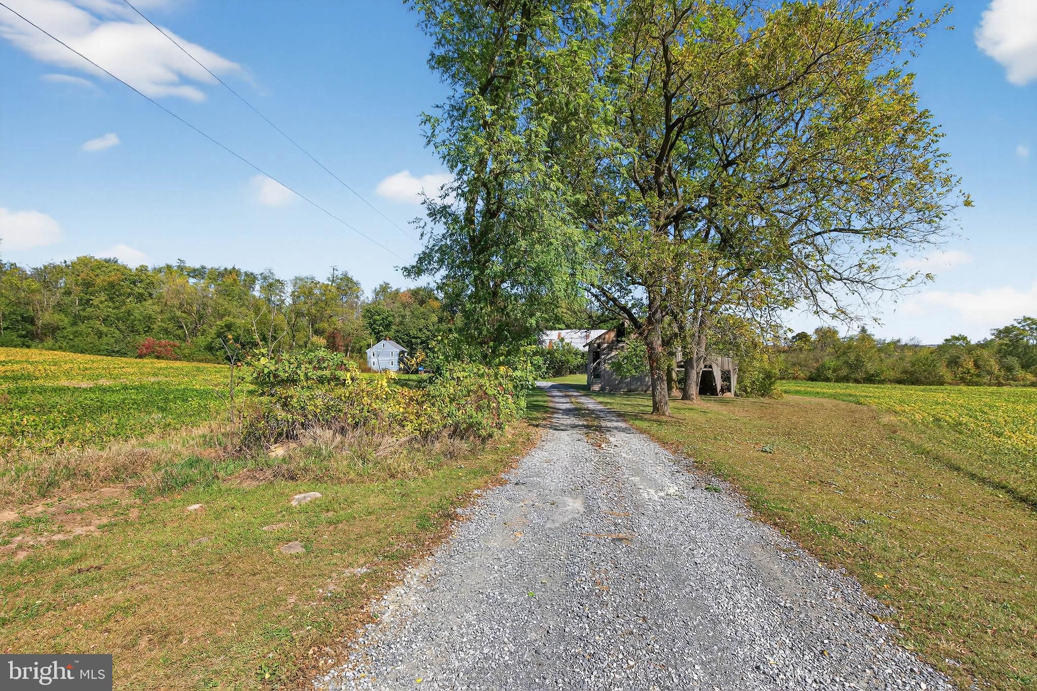NONE AVAILABLE - Farm