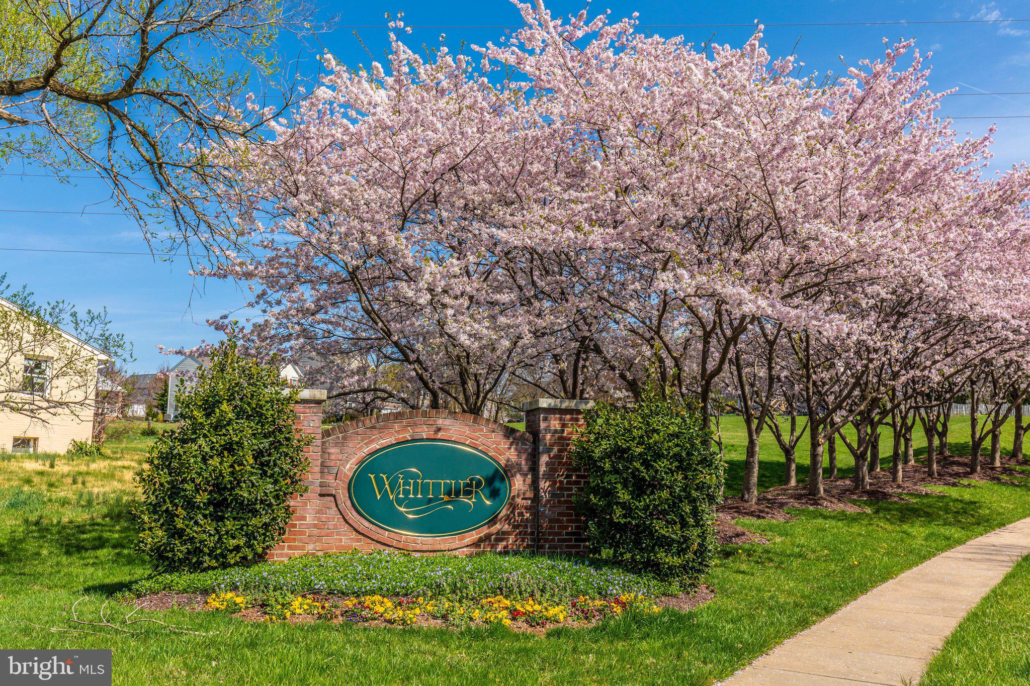 LAKETREE - Residential