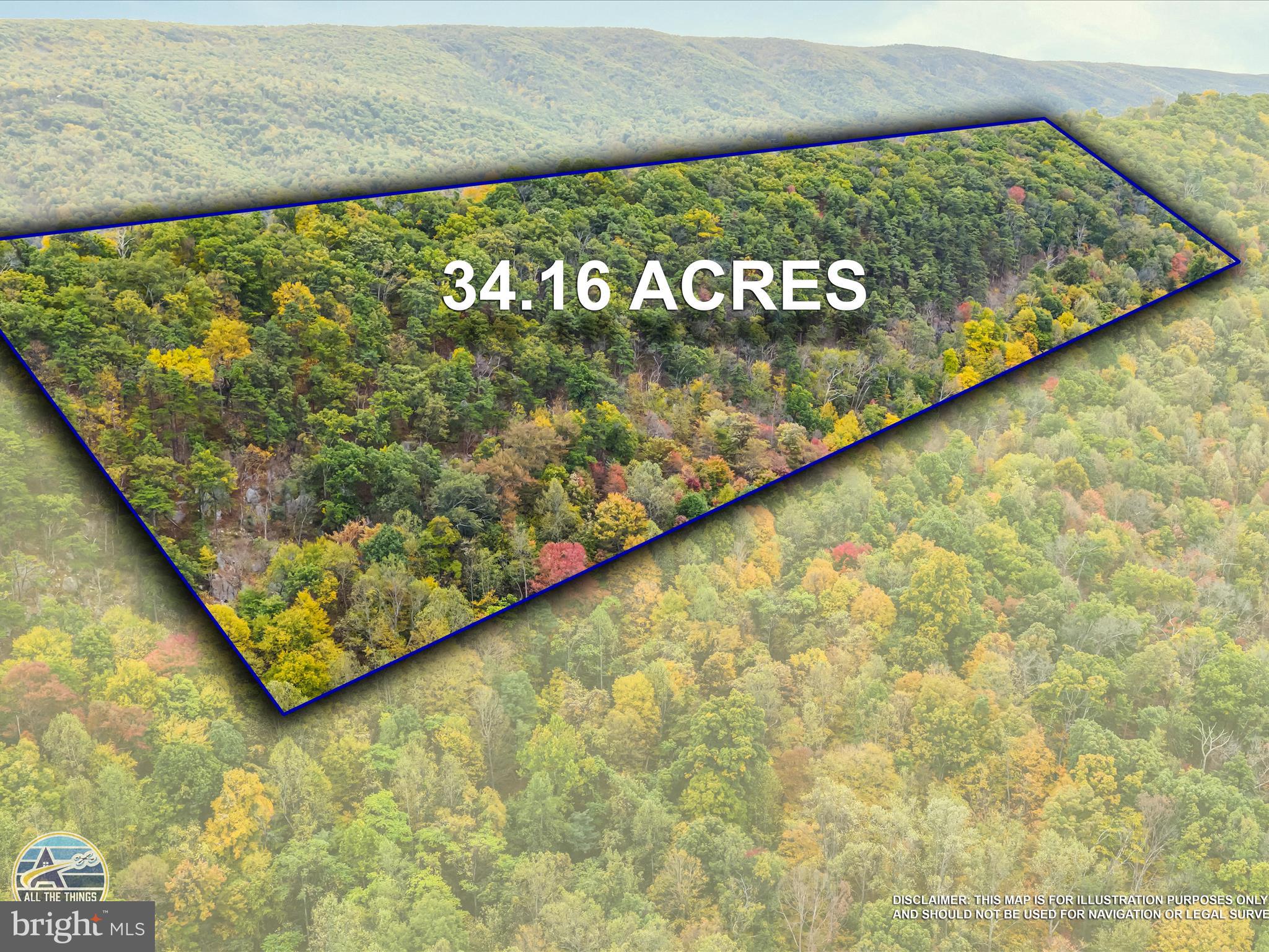 Just reduced! 34 acres of private woods with frontage on Clay Pitts Lane. Beautiful views through the trees. Very minimal HOA restrictions make for a great location to build your dream home or vacation cabin in the woods. Build, hunt, camp. Just about 20 minutes from downtown Berkeley Springs while still having that out in the country feel thanks to the seclusion and limited neighbor traffic. Easily accessible with so much potential to make your dream come true.