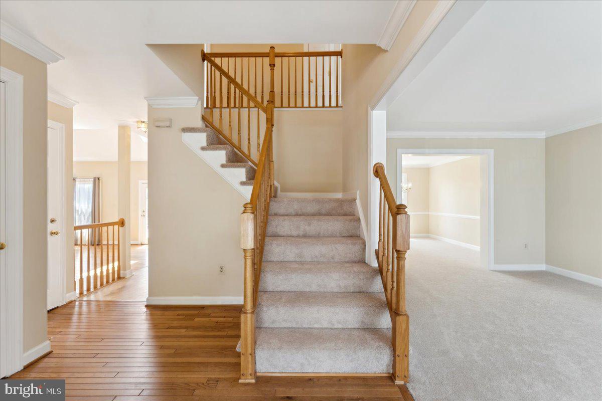 SPRINGDALE - Residential