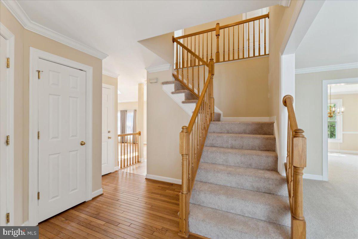 SPRINGDALE - Residential
